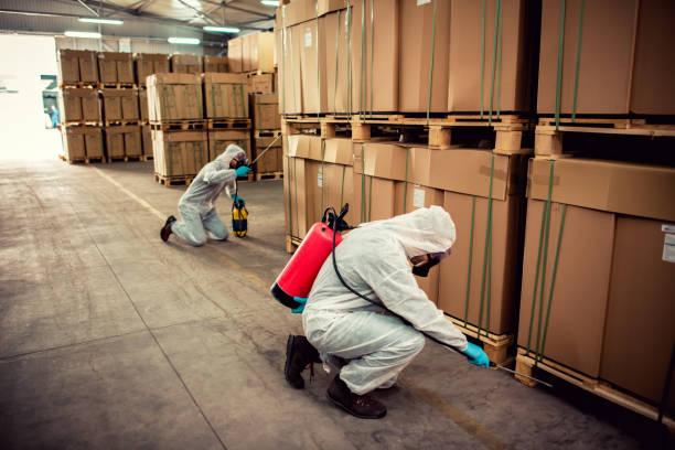 Best Wasp Removal Services  in Bothell West, WA