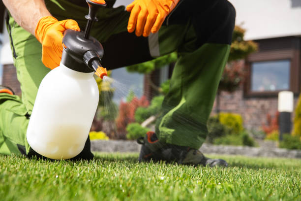 Best Termite Control Services  in Bothell West, WA