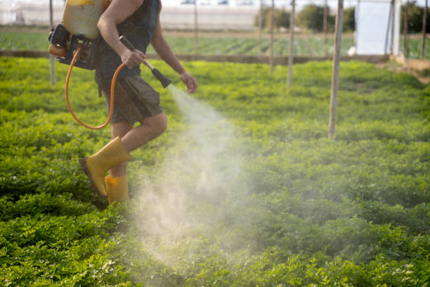 Best Pest Control for Homes  in Bothell West, WA