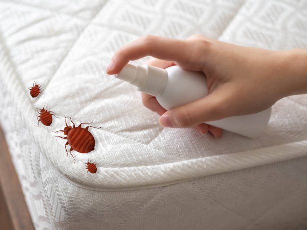 Best Pest Control Near Me  in Bothell West, WA
