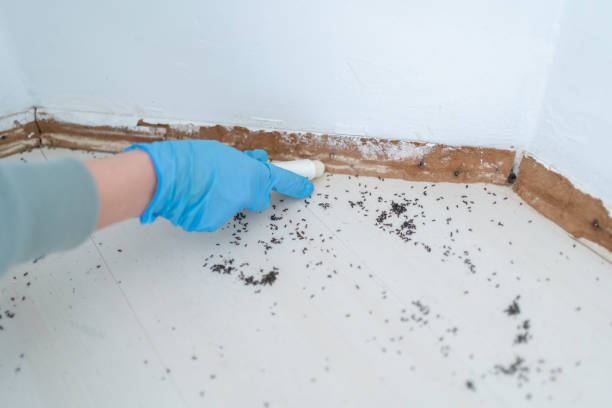 Best Commercial Pest Control Services  in Bothell West, WA